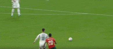 匈葡86.gif