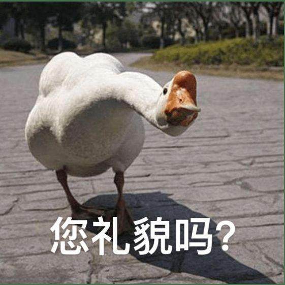 下载.jpg