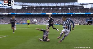rso rma 7.gif