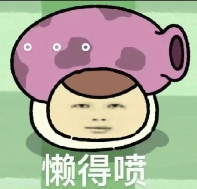 a007f1e0ly1i5i6o4y9ilj20u00sz0ud.jpg