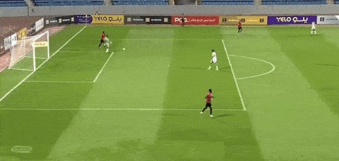 沙特_compressed.gif