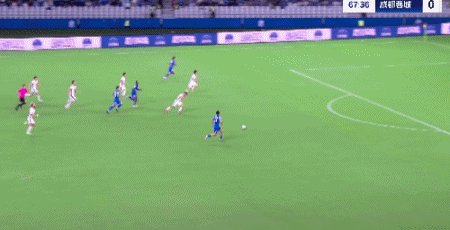 申花.gif