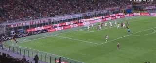 米莱10.gif