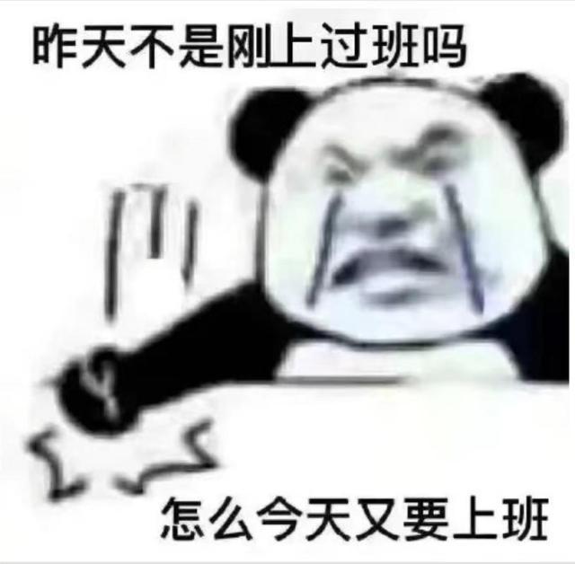 88502af3-e203-4f4e-be2d-9c1731c3380b.jpg