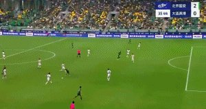 塞鸟.gif
