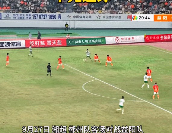 杨.gif