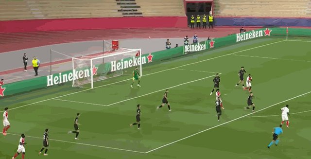 1-1特泽.gif