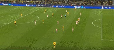 躲避28.gif