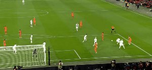 ned fin 84.gif