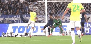 jap bra 4.gif