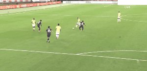 jap bra 3.gif
