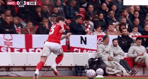 nfo che 6.gif