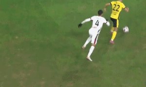 戴维森.gif