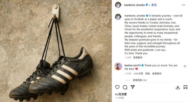 1761868812607005242.jpg yiwan.jpg