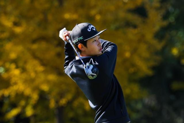 1762013524985051084.jpg image005.jpg