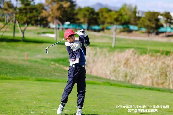 1762169977040087117.jpg image006.jpg