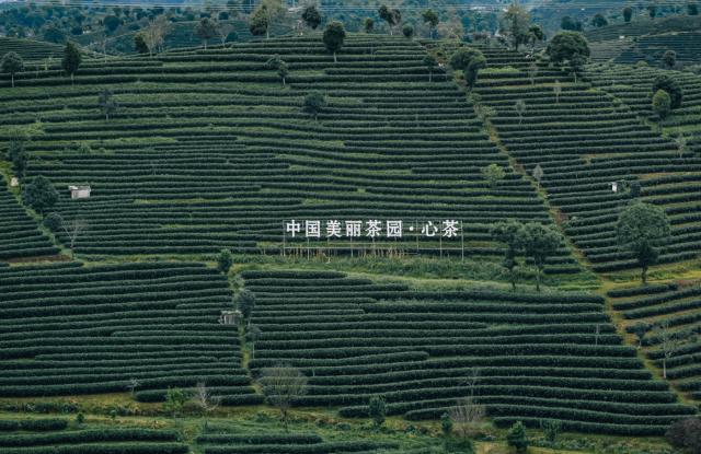 1762423076545037567.png image.png