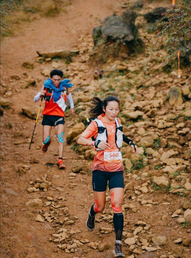 1763534190151077497.png image.png