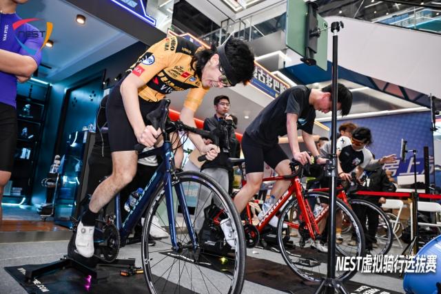 1763635600912047175.png 图片 3.png