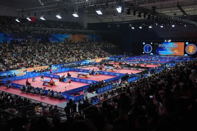 1763735274192085805.jpg 1763735274192085805.jpg