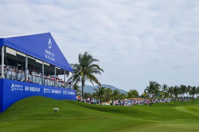 1764620302987078239.jpg image015.jpg