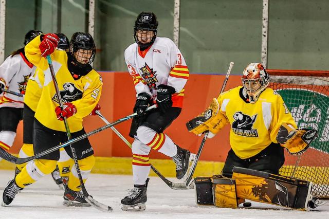 1764748723145079749.png 图片 5.png