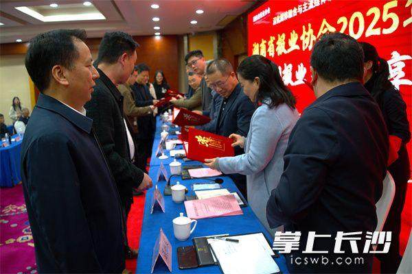 1765016958694092570.jpg 25.jpg