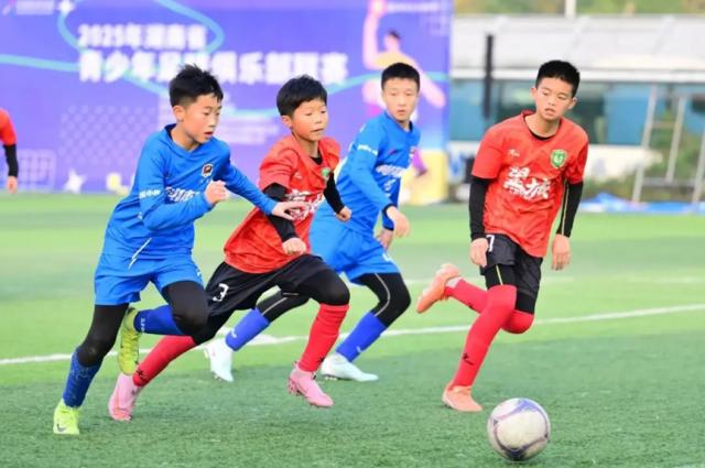 1765115941242083992.png 4f2e373b-76a4-4b31-bab5-9053d54e53b5.png