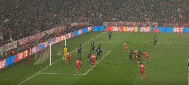 1765320598461078543.gif 百里65.gif