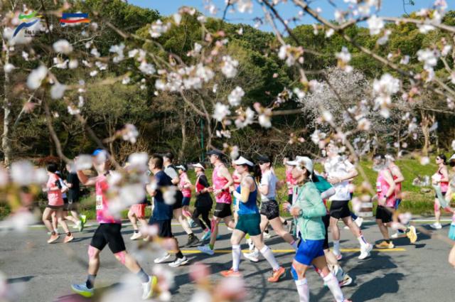 1766025138121088004.png QQ浏览器截图20251218103209.png