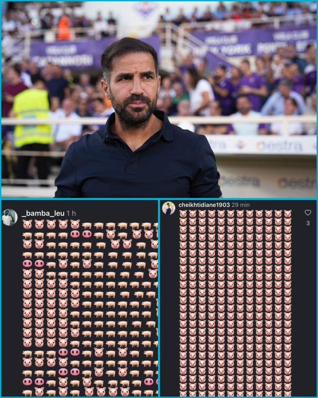 1766032379929094029.jpeg G8P-vIea4AMNv5w.jpeg