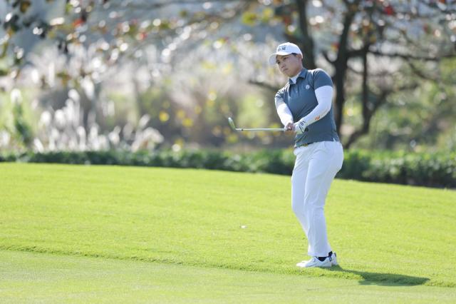 1768124697193076258.jpg image009.jpg