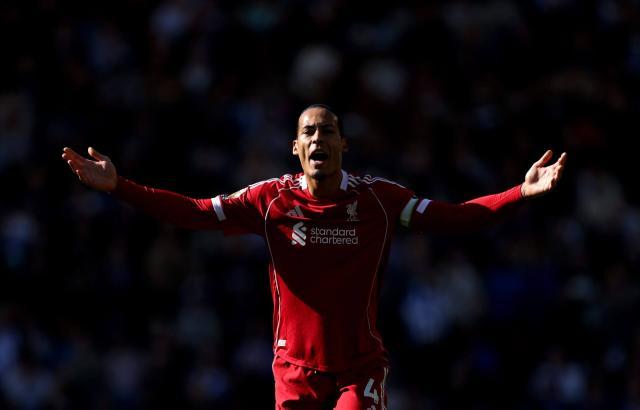 1774169341110043936.jpg 55.jpg