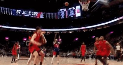 1774858000659057961.gif yang.gif