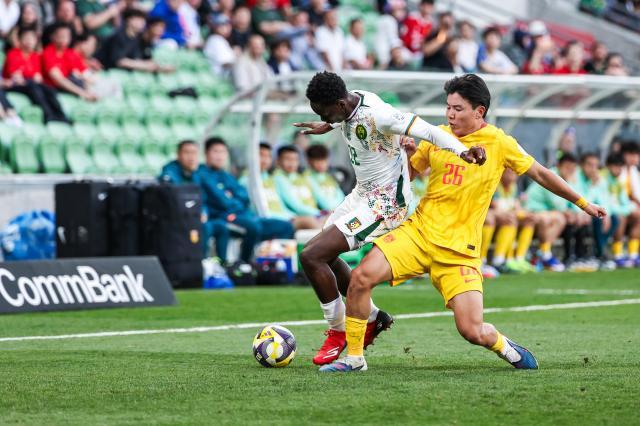 1775009786658022935.jpg 1775009786658022935.jpg