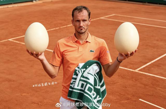 梅德维德夫 双蛋 图片1.jpg