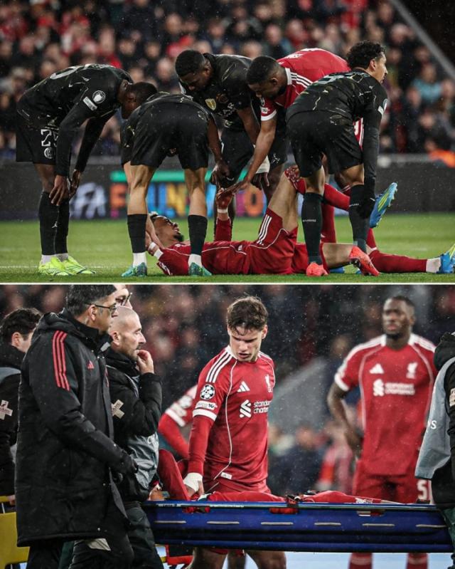 1776298186467022951.jpg aijidike.jpg