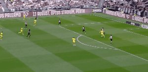 juv ver 34.gif