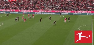 bay koe 83.gif