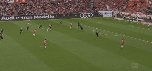 bay koe 69.gif