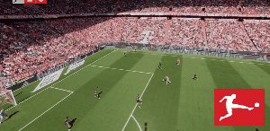 bay koe 10.gif