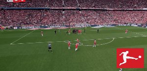 bay koe 13.gif