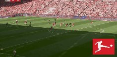 bay koe 18.gif