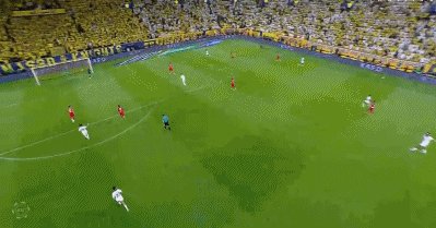 1779408189170016681.gif