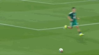5.gif