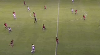 1780978093164049390.gif 4.gif