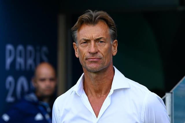 renard.jpg