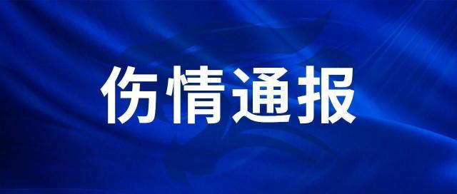 刘奕鸣.jpg