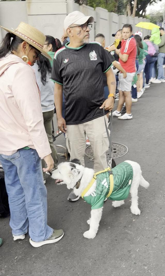 1783666323215014331.png 墨国球迷甚至为自己的爱犬都穿上了墨西哥队服.png