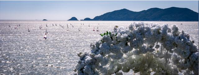image005.png